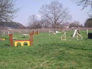 obrázek cvičáku agility v Troji
