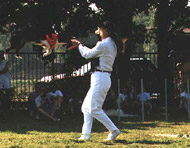 obrázek Věra Brunclíková flyball